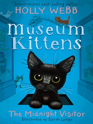 The Midnight Visitor - ebook